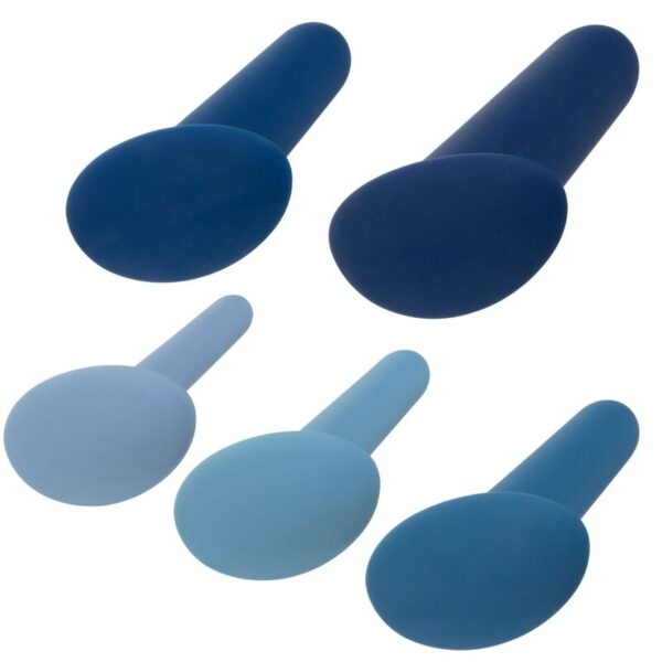 img_110092_67a15d578c586da7878d73292ff1ba22_1.jpg CALEXOTICS - WEARABLE ANAL TRAINING SET 5 PIECES