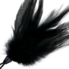 img_111285_8eef021d35f4a87a3b976c913fa49961_1.png DARKNESS - PLUMA ESTIMULADORA NEGRO 17 CM