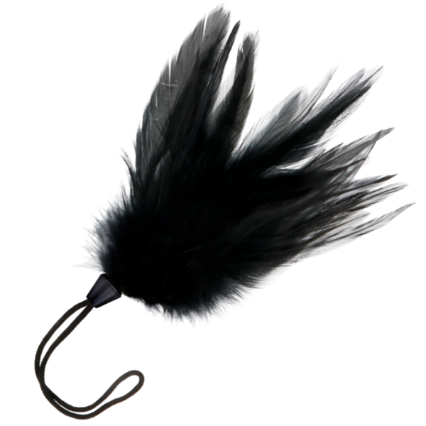 img_111286_dc85a3ded2698b1e003a32efc3876f7e_1.png DARKNESS - PLUMA ESTIMULADORA NEGRO 17 CM