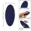 img_117160_33f5c40a6592aeb1da5265e97700c3e4_1.jpg CALEXOTICS - CHIC VIOLET ESTIMULADOR 10 SPEEDS
