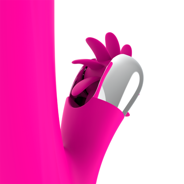 img_129403_f3cd1f08bf4b3e0cf31a7e40ba33bb10_1.png DIVERSIA - BUNNY ROTATION 24 CM