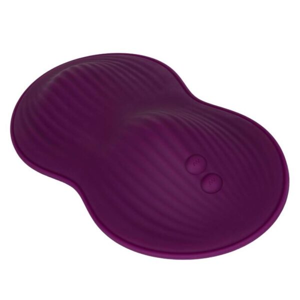 img_133781_969dd6ba5ec6c8ced1cd4dc0ec039678_1.jpg CALEXOTICS - REMOTE CONTROL DUAL RIDER