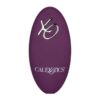 img_133786_8dc0f5b06dccd615d8eab325ca1683d6_1.jpg CALEXOTICS - REMOTE CONTROL DUAL RIDER