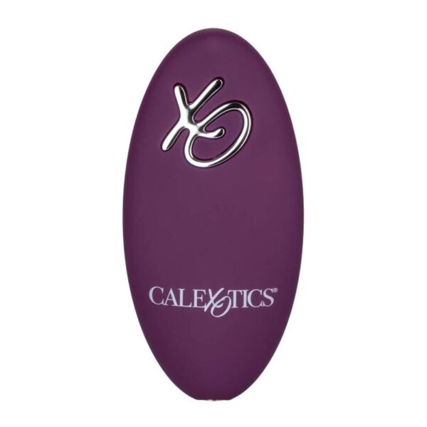 img_133786_8dc0f5b06dccd615d8eab325ca1683d6_1.jpg CALEXOTICS - REMOTE CONTROL DUAL RIDER