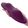 img_133787_bb4c21eba86d32108a543103956bdff2_1.jpg CALEXOTICS - REMOTE CONTROL DUAL RIDER
