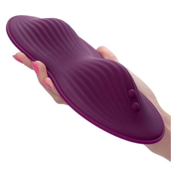img_133787_bb4c21eba86d32108a543103956bdff2_1.jpg CALEXOTICS - REMOTE CONTROL DUAL RIDER