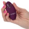 img_133788_aa4b2c23a8ae69641330d875be0a1b3c_1.jpg CALEXOTICS - REMOTE CONTROL DUAL RIDER