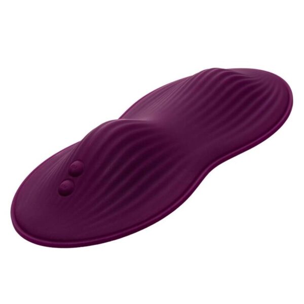 img_133792_ae7bc0925c7ca1c3932a650b930a5703_1.jpg CALEXOTICS - REMOTE CONTROL DUAL RIDER
