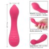 CALEXOTICS - PIXIES TEASER ROSA