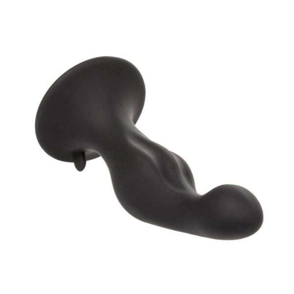 img_134162_7d210bf813b6179fc9126eccbd0d549a_1.jpg CALEXOTICS - ANAL RIPPLE KIT