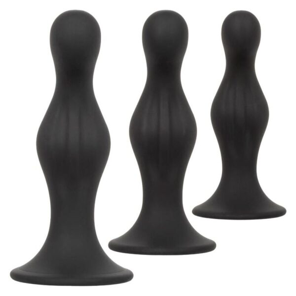 img_134167_41960e33ac01295388298e5dff209c40_1.jpg CALEXOTICS - ANAL RIPPLE KIT