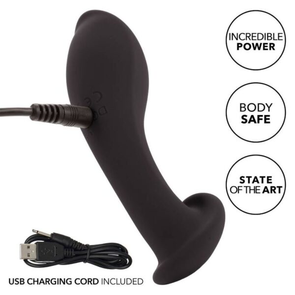 img_134204_087331958a15ba3b9b301c935235f212_1.jpg CALEXOTICS - LIQUID SILICONE FLEX PROBE