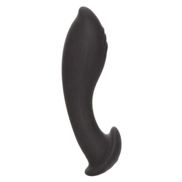 img_134205_c6e0367a94b0a8eccc5e471c1a19c878_1.jpg CALEXOTICS - LIQUID SILICONE FLEX PROBE