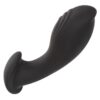 img_134209_a510c20418df8c55000531be5d580524_1.jpg CALEXOTICS - LIQUID SILICONE FLEX PROBE