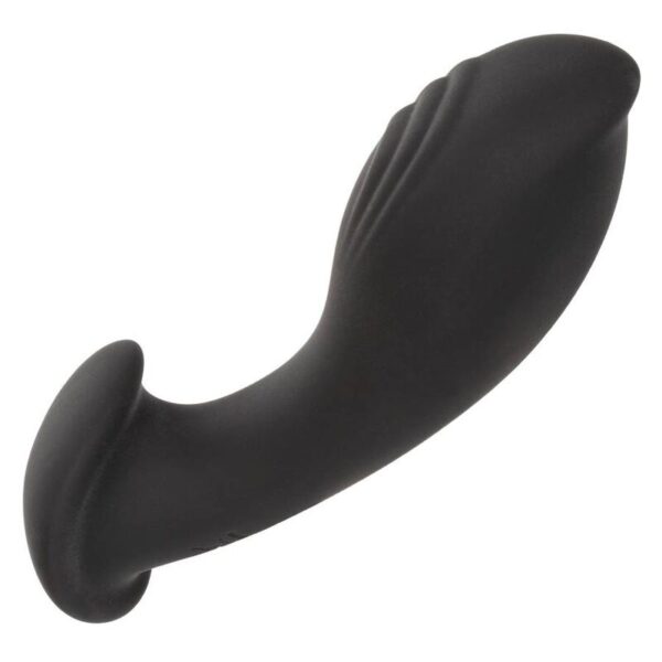 img_134209_a510c20418df8c55000531be5d580524_1.jpg CALEXOTICS - LIQUID SILICONE FLEX PROBE