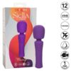 img_134326_f5a5a7cfcc2d38e22a36b7ab3231f1fa_1.jpg CALEXOTICS - STELLA MASSAGER VIOLETA