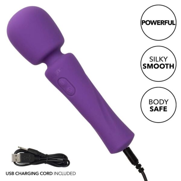img_134328_d47d98123587a073c9729d87f6da34df_1.jpg CALEXOTICS - STELLA MASSAGER VIOLETA