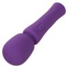 img_134330_fbb9b9ccad1954681bbb90a110242e1d_1.jpg CALEXOTICS - STELLA MASSAGER VIOLETA