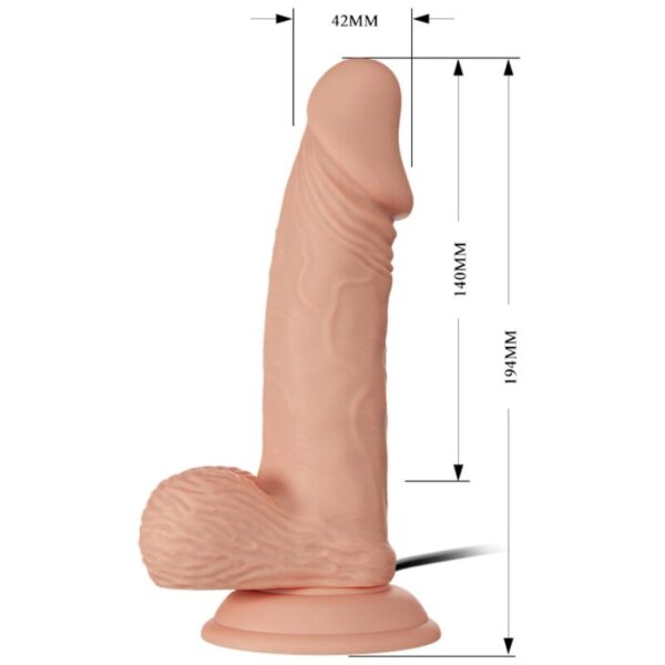 BAILE - BEAUTIFUL ENCOUNTER ZEBULON VIBRACIÓN 19.4 CM NATURAL