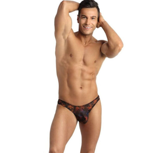 img_139211_3c10cb41b87fb6be9a5c16cc0627f6aa_1.jpg ANAIS MEN - CHILL TANGA L