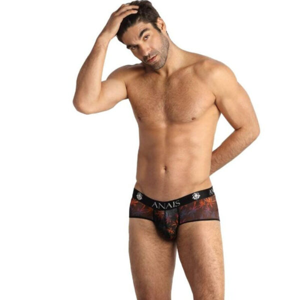 img_139252_655a4585605d7ff43c397456c06248e6_1.jpg ANAIS MEN - CHILL BOXER BRIEF M