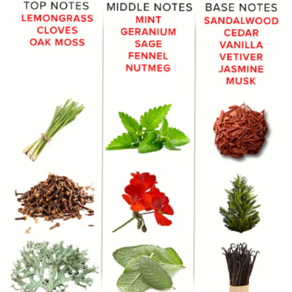 img_146255_093d44aaa0e62a17cc3fcaa963781228_1.jpg EYE OF LOVE - EOL PERFUME FEROMONAS 10 ML - ROMANTIC