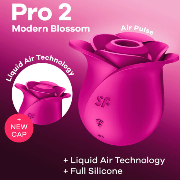 img_157661_9501797d2077eae7730e638d93c96e79_1.jpg SATISFYER - AIR PULSE PRO 2 MODERN BLOSSOM VIBRADOR