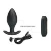 img_160872_632cf877507adf6090342232ea33be3d_1.jpg PRETTY LOVE - REGINA PLUG ANAL VIBRADOR RECARGABLE NEGRO