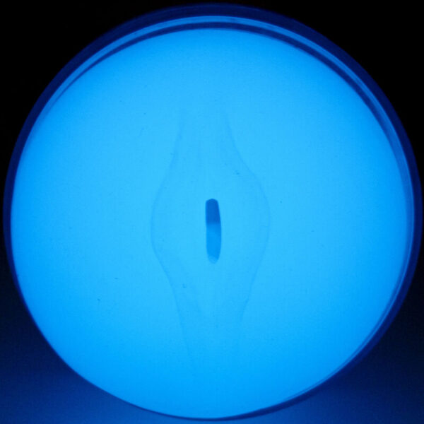 img_178458_db51597e29cf5c997402b453474d0f32_1.jpg KIIROO - FEEL GLOW IN THE DARK STROKER
