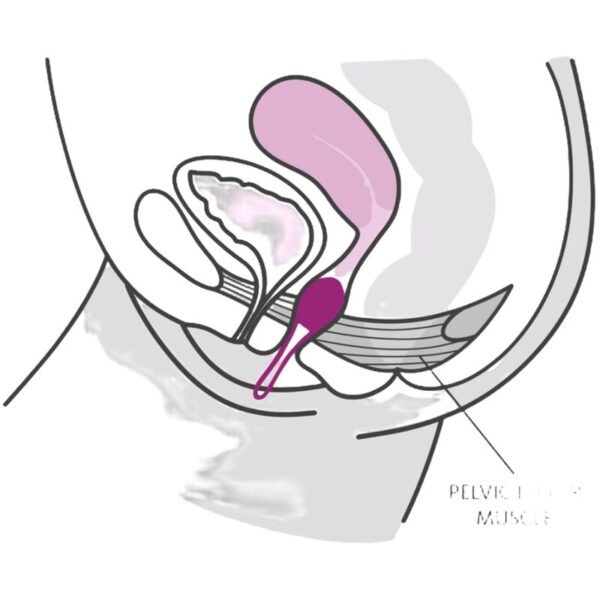 img_182118_11acf1fae1a87eb0d8c32d98041f73d9_1.jpg FUN FACTORY - SMARTBALL UNO BOLA PELVICA BLANCO / VERDE PISTACHO