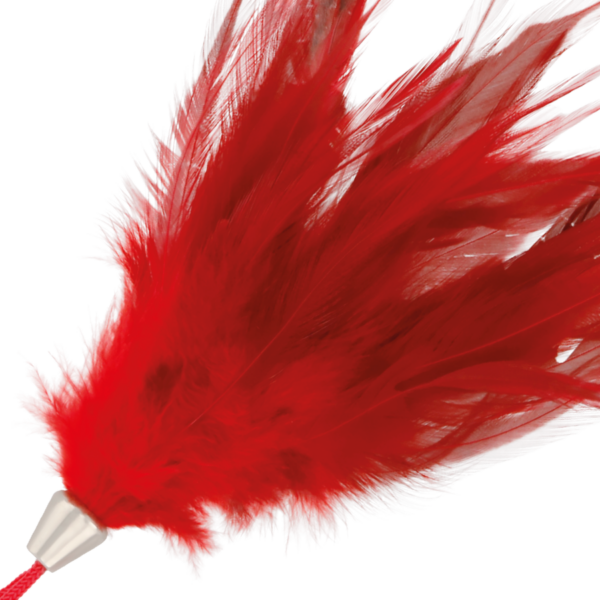 img_78835_817e998658ca295594650a2f9db1f418_1.png DARKNESS - PLUMA ESTIMULADORA ROJO 17CM