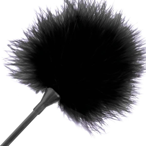 img_78839_de96baae71dd79c1d3caa4e24a6f56a6_1.png DARKNESS - PLUMA ESTIMULADORA NEGRO 42 CM