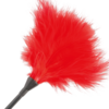 img_78841_de7d0ddffd084e436c9ff5bdcd224c48_1.png DARKNESS - PLUMA ESTIMULADORA ROJO 42CM