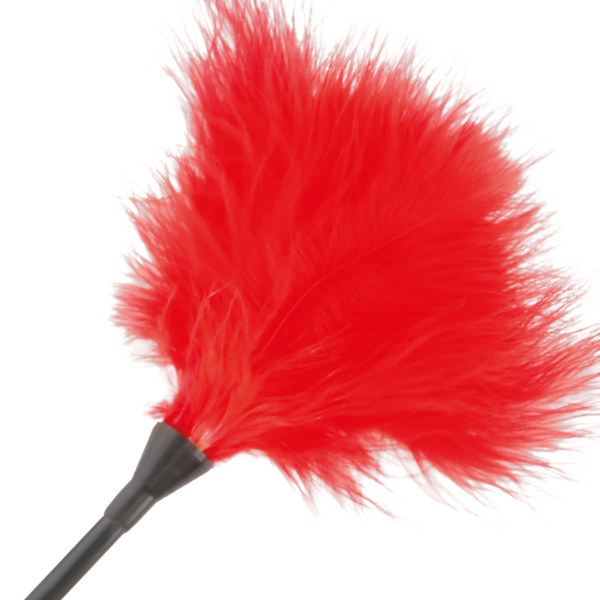 img_78841_de7d0ddffd084e436c9ff5bdcd224c48_1.png DARKNESS - PLUMA ESTIMULADORA ROJO 42CM