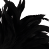 img_78844_23e194ca33a2704108287d0b90887c34_1.png DARKNESS - PLUMA ESTIMULADORA NEGRO LUX