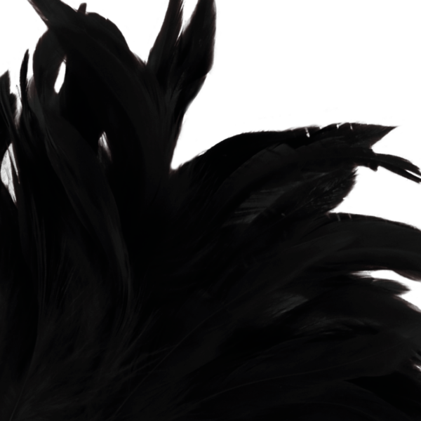 img_78844_23e194ca33a2704108287d0b90887c34_1.png DARKNESS - PLUMA ESTIMULADORA NEGRO LUX