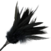 img_78855_7b83b25316070a88647c9eadae23b63e_1.png DARKNESS - FUSTA CON PLUMA NEGRO
