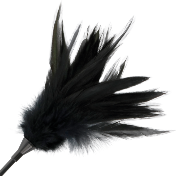 img_78855_7b83b25316070a88647c9eadae23b63e_1.png DARKNESS - FUSTA CON PLUMA NEGRO