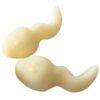 img_84967_8f2bc65fa66978c7a4a77aa51aa22b9c_1.jpg SPENCER & FLEETWOOD - JELLY SUPER SPERM GOMINOLAS FORMA ESPERMA 120 GR